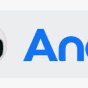 Andi