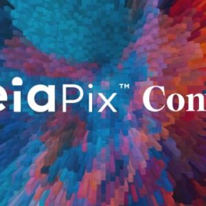 LeiaPix